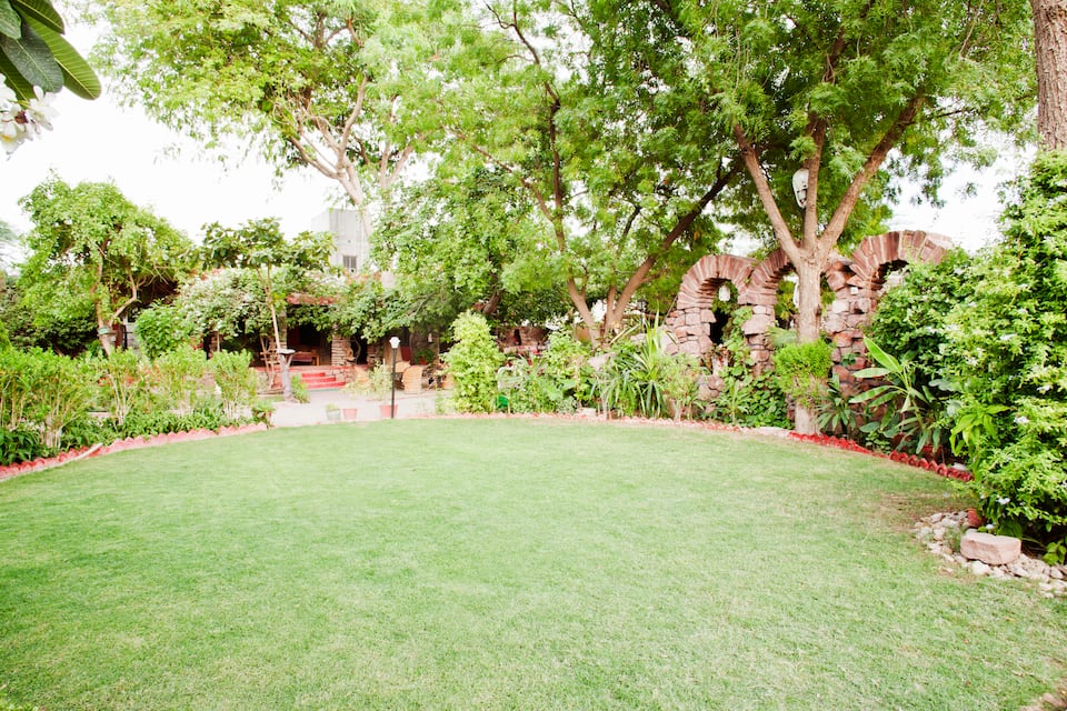 Lawn
